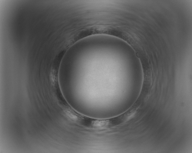 X0000070850135200606161145