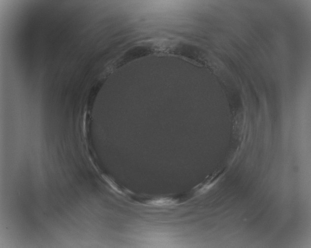 X0000070850137200606161145