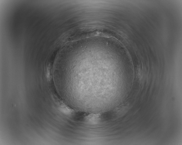 X0000070850138200606161145