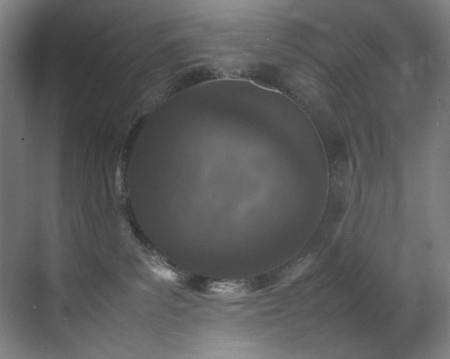X0000070850139200606161145