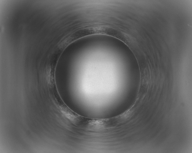 X0000070850140200606161145