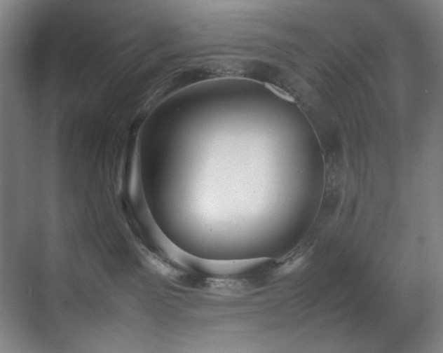 X0000070850141200606161145