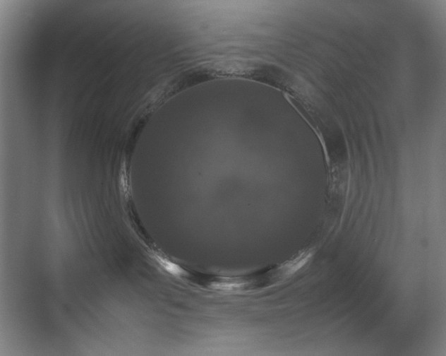 X0000070850143200606161145