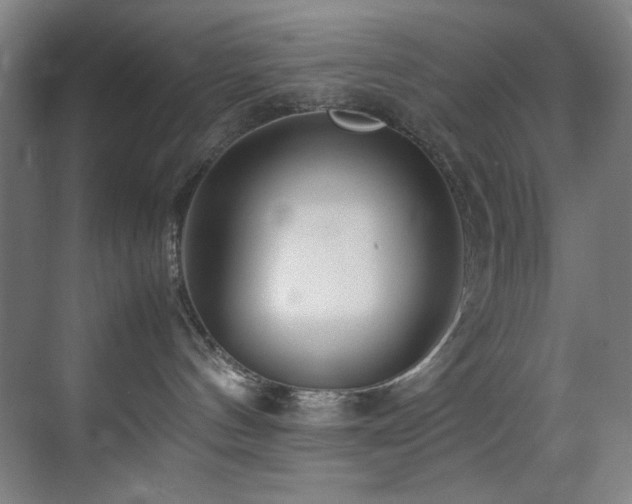 X0000070850144200606161145