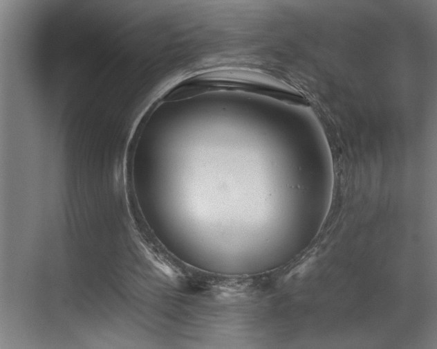 X0000070850148200606161144