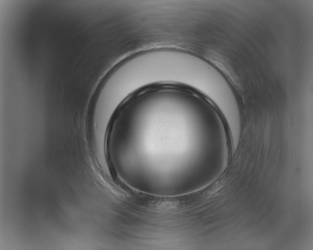 X0000070850156200606161144