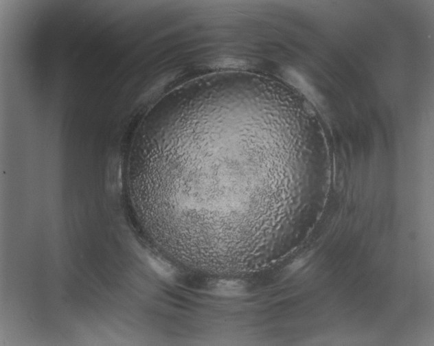 X0000070850157200606161144