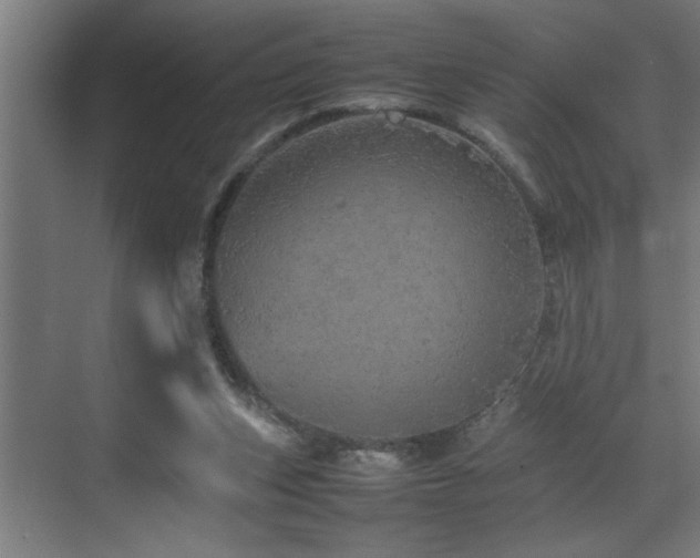 X0000070850159200606161144