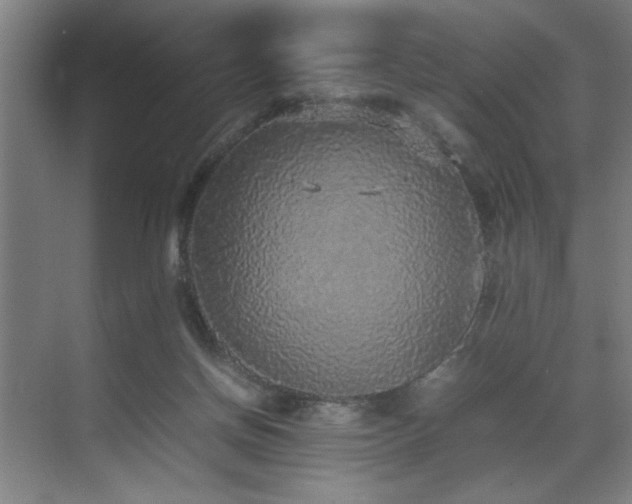 X0000070850166200606161144