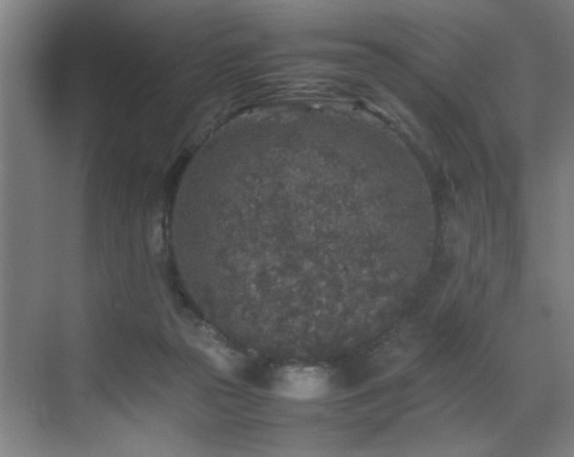 X0000070850169200606161144