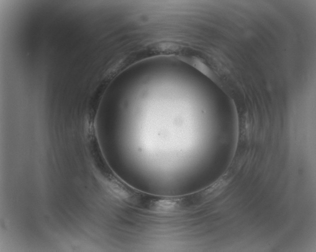 X0000070850176200606161144