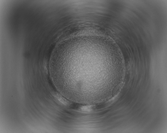 X0000070850178200606161144