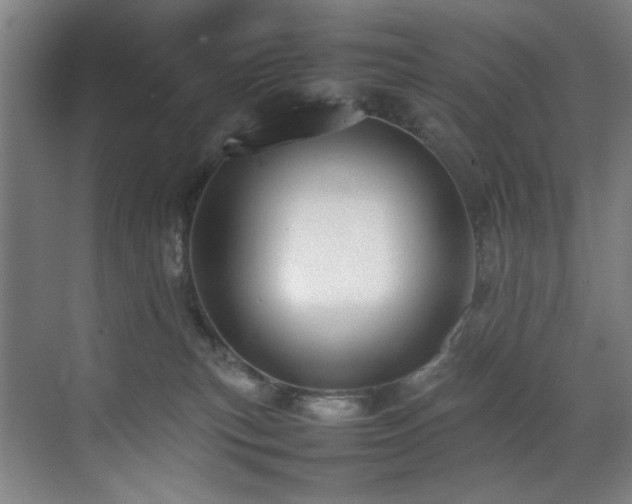 X0000070850183200606161144