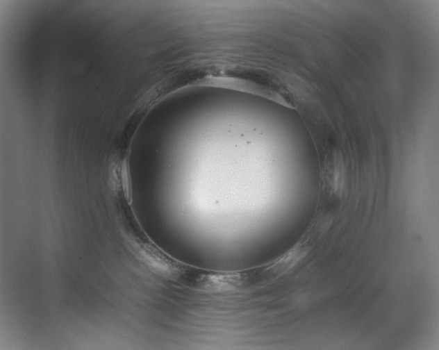 X0000070850188200606161144