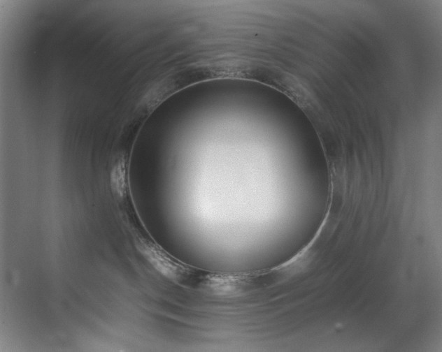 X0000070850190200606161144