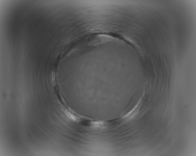 X0000070850192200606161145