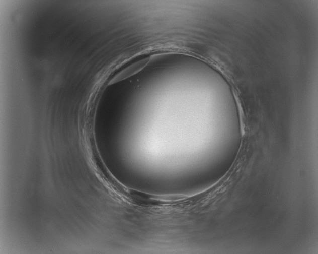 X0000070850193200606161144