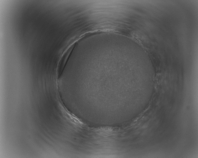 X0000070850194200606161144