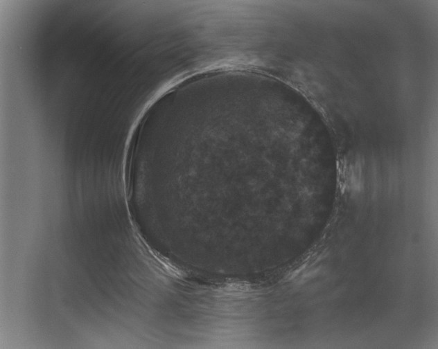 X0000070850196200606161144