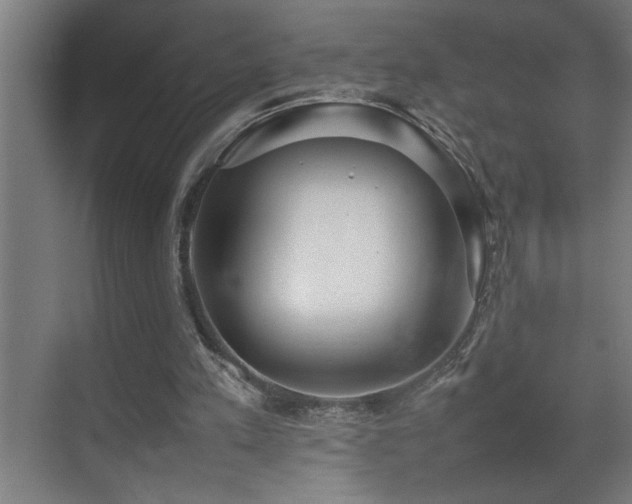 X0000070850197200606161144