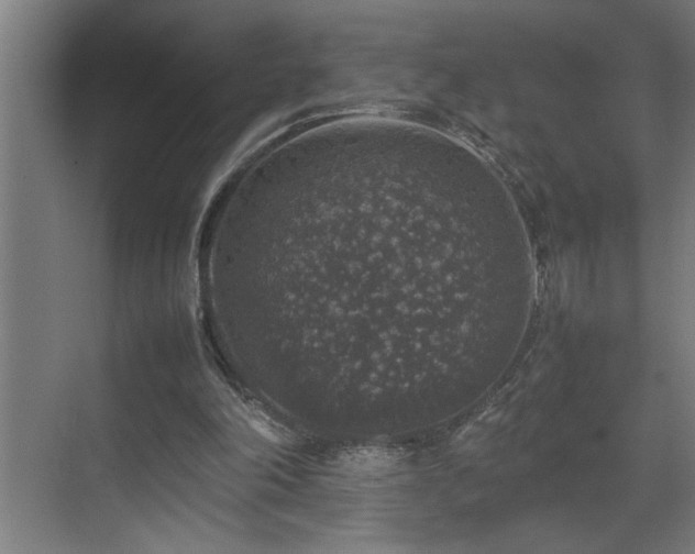X0000070850198200606161144