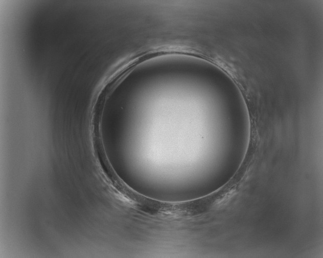 X0000070850199200606161144