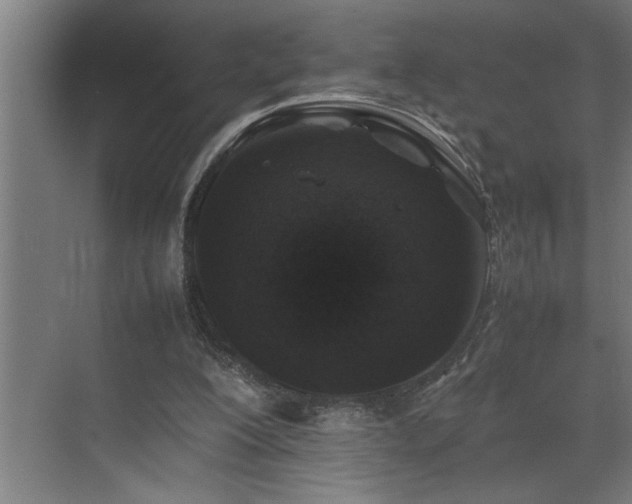 X0000070850200200606161144
