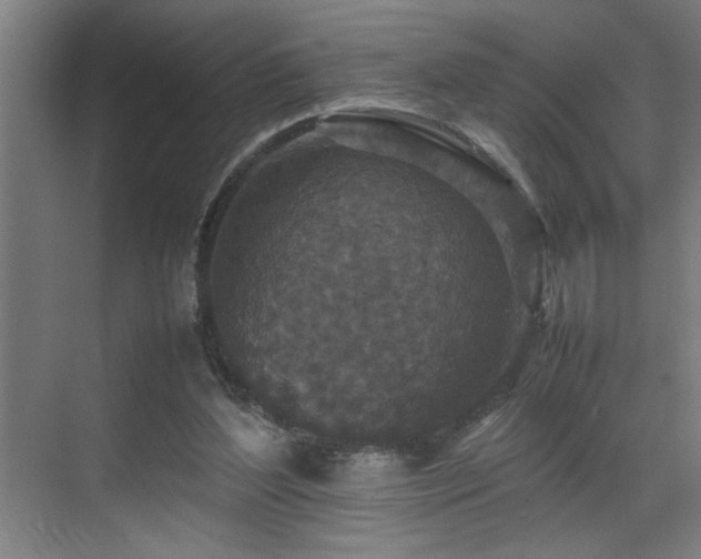 X0000070850204200606161144