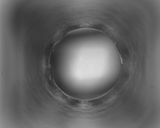 X0000070850215200606161143