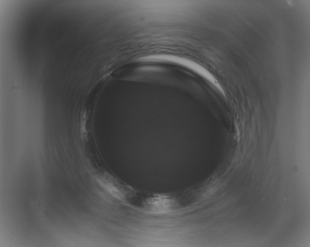 X0000070850219200606161143
