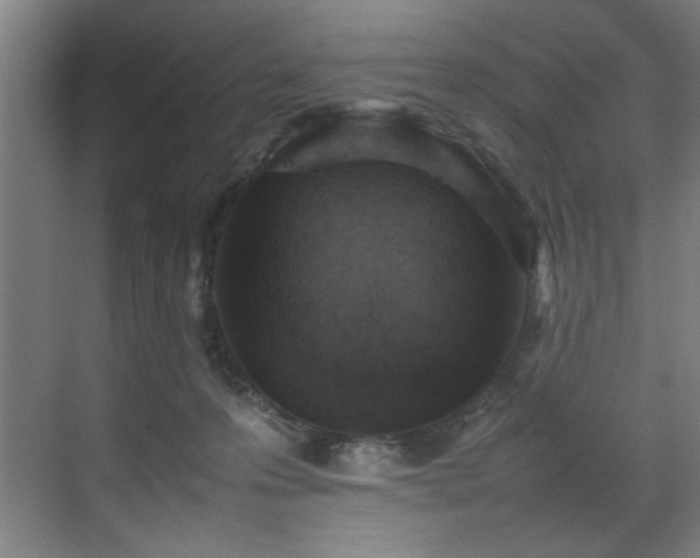 X0000070850223200606161143
