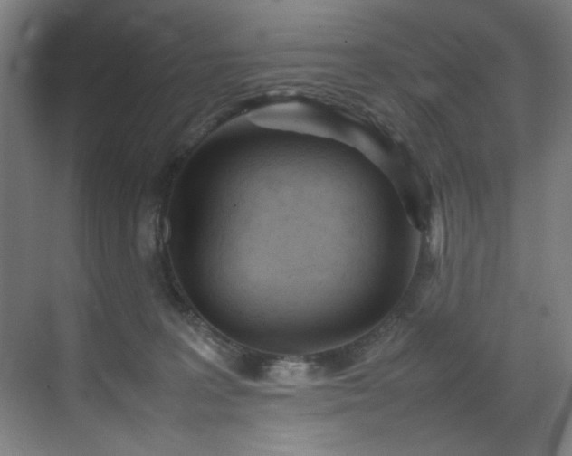 X0000070850227200606161143