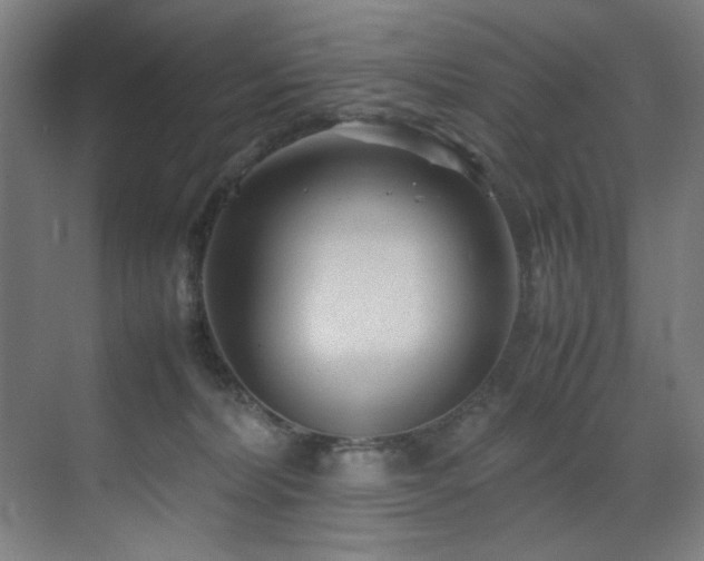 X0000070850228200606161143
