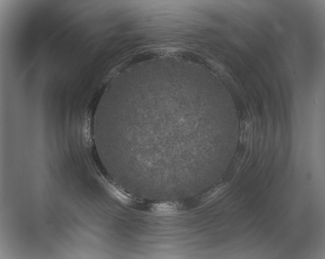 X0000070850238200606161143