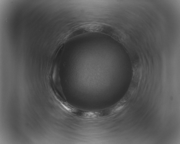 X0000070850239200606161143