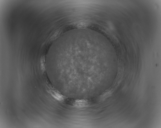 X0000070850240200606161143