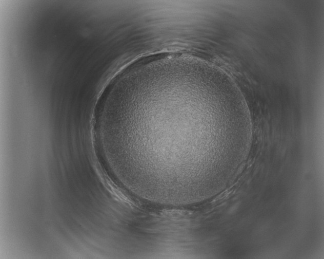 X0000070850242200606161142