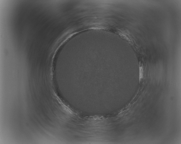 X0000070850243200606161142