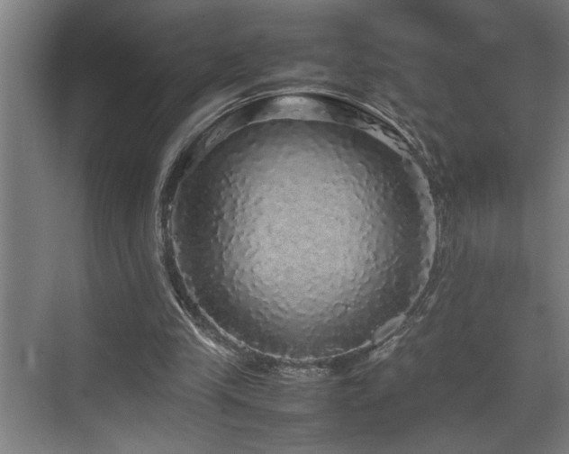 X0000070850245200606161142
