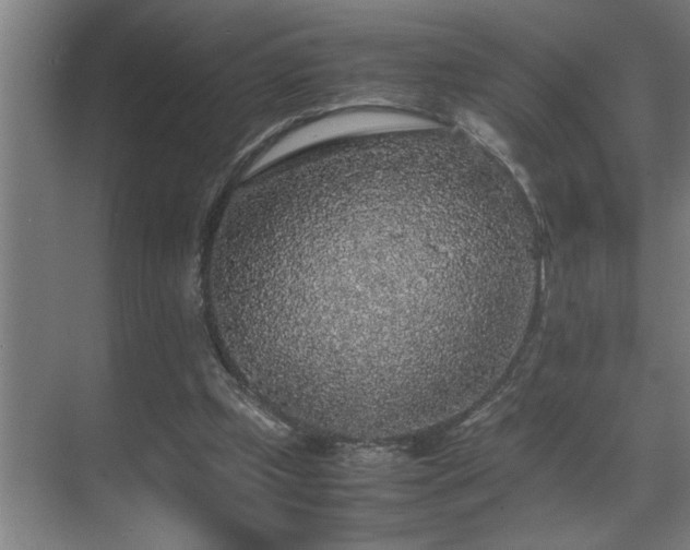 X0000070850249200606161142
