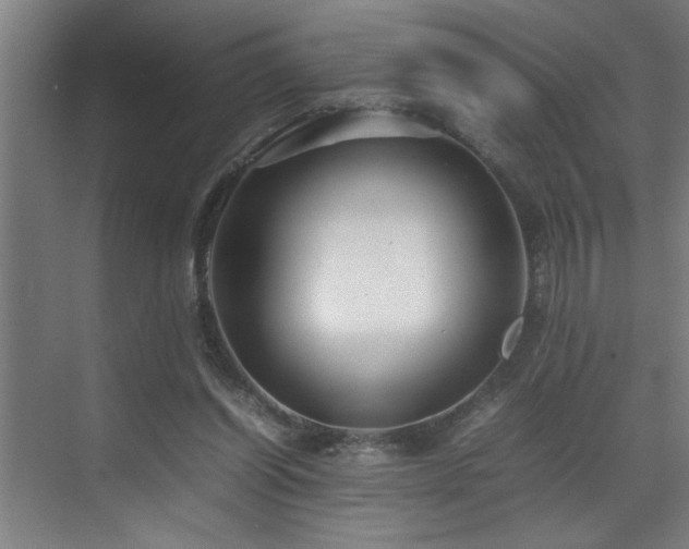 X0000070850254200606161142