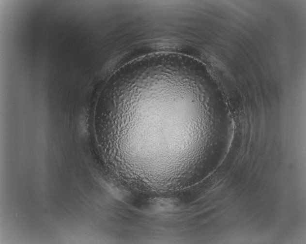X0000070850255200606161142