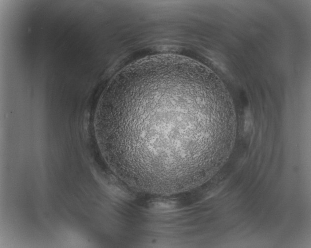X0000070850263200606161142