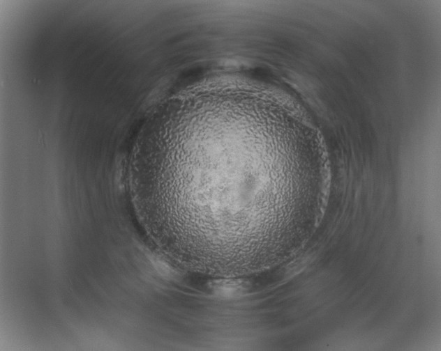 X0000070850273200606161143