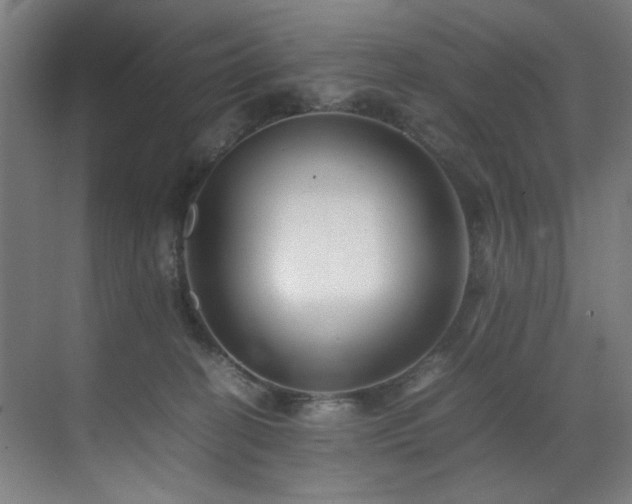 X0000070850274200606161143