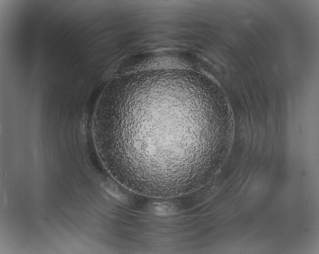 X0000070850275200606161143