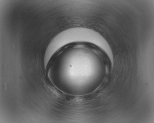 X0000070850276200606161143