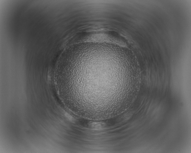 X0000070850277200606161143