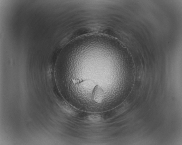X0000070850279200606161143