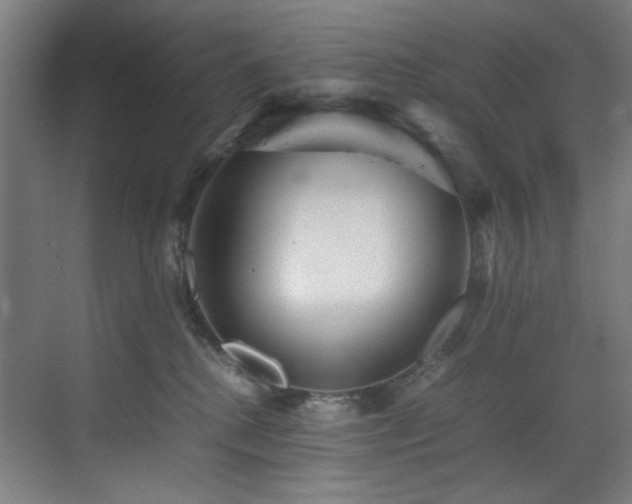 X0000070850280200606161143